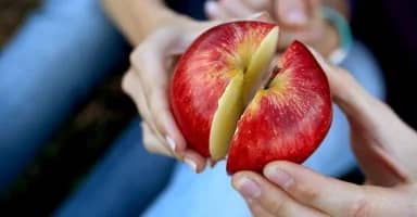 الاهتمامات المشتركة بين الزوجين – سلسلة نصائح الحياة الزوجية