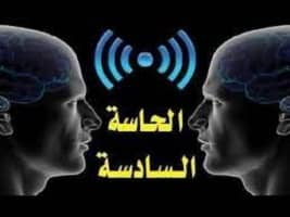 الحاسة السادسة أين توجد فى الإنسان وما هى المادة المكونة لها