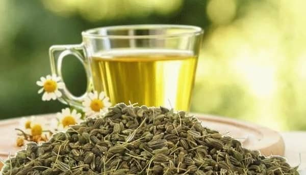 الينسون.. صيدلية متكاملة من الطبيعة في خدمتك
